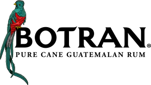 light logo
